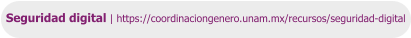 Seguridad digital | https://coordinaciongenero.unam.mx/recursos/seguridad-digital