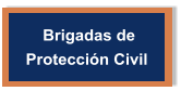 Brigadas de  Protección Civil
