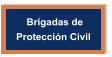 Brigadas de  Protección Civil