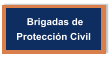 Brigadas de  Protección Civil
